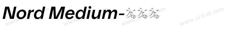 Nord Medium字体转换 Nord Medium字体转换